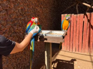 Cuidados animais zoológico em Goiânia durante mudanças de temperatura