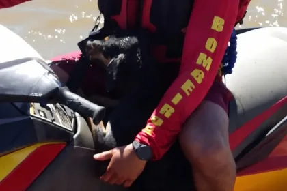 Resgate de cachorro no Rio Araguaia pelos bombeiros