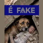 Foto falsa de cachorro protegendo bebê em terremoto