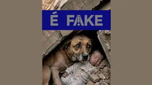 Foto falsa de cachorro protegendo bebê em terremoto
