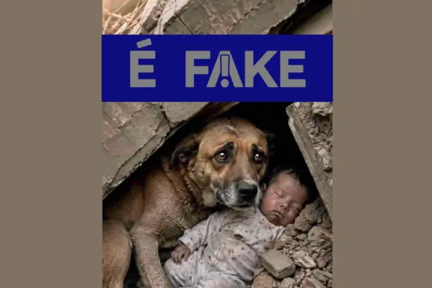 Foto falsa de cachorro protegendo bebê em terremoto