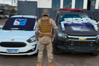 Grávida presa com maconha em carro clonado em Goiás