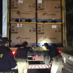 Homem escondido em caixa durante furto de cargas em Goiás