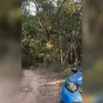 Avó e neto vítimas de afogamento em Caldas Novas
