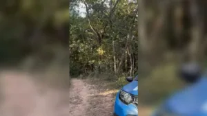 Avó e neto vítimas de afogamento em Caldas Novas
