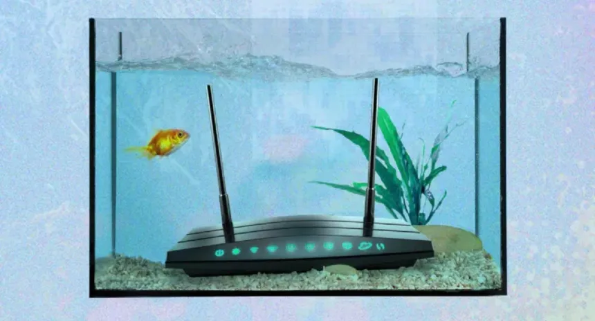 Interferências no wi-fi causadas por objetos comuns