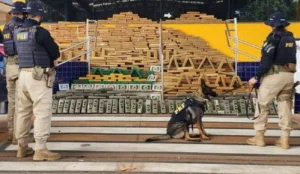 Apreensão de drogas em Goiás em 2025