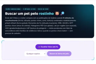 Plataforma de animais desaparecidos ajuda a encontrar pets
