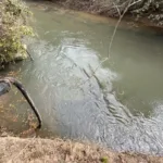 Descontaminação do córrego em Professor Jamil após acidente