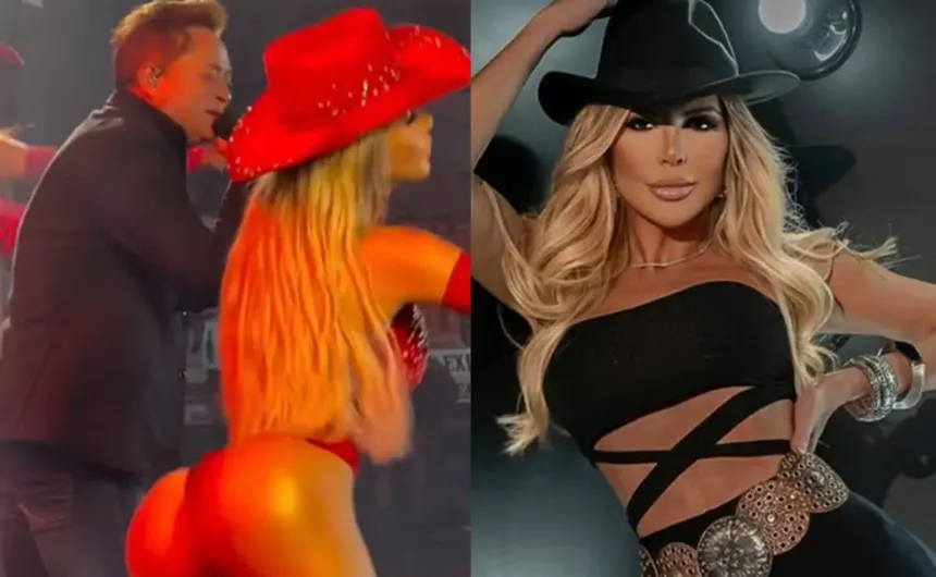 Bailarina de Leonardo com figurino sexy no show