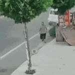 idoso escapa de atropelamento na China ao correr atrás de chapéu