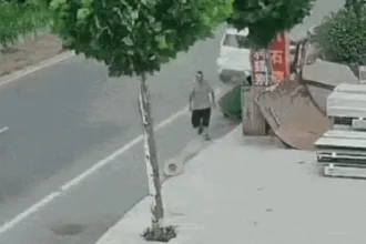 idoso escapa de atropelamento na China ao correr atrás de chapéu