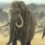 mamute-lanoso-extinto-tinha-cromossomos-sexuais-atipicos,-revela-estudo-de-dna-antigo