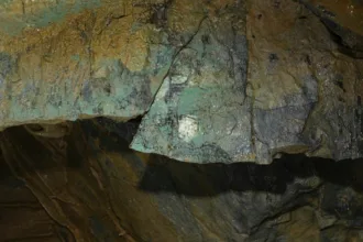caverna-na-alemanha-revela-estatuetas-de-aves-de-40-mil-anos,-menores-que-uma-unha