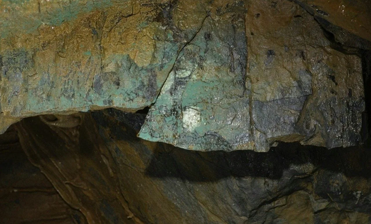 Caverna na Alemanha revela estatuetas de aves de 40 mil anos, menores que uma unha