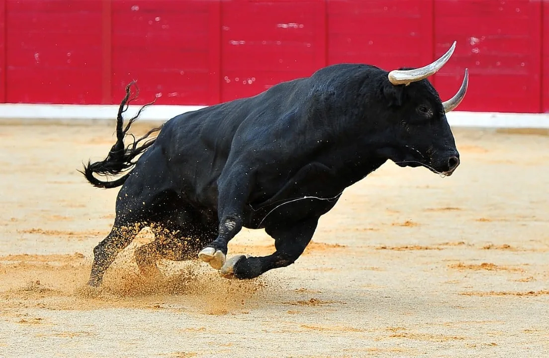 Fotógrafo da Associated Press revela bastidores da captura da velocidade e perigo em Pamplona