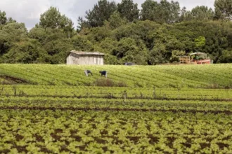 camara-analisa-proposta-para-acelerar-validacao-do-car-em-propriedades-rurais-menores-e-aprimorar-governanca-ambiental