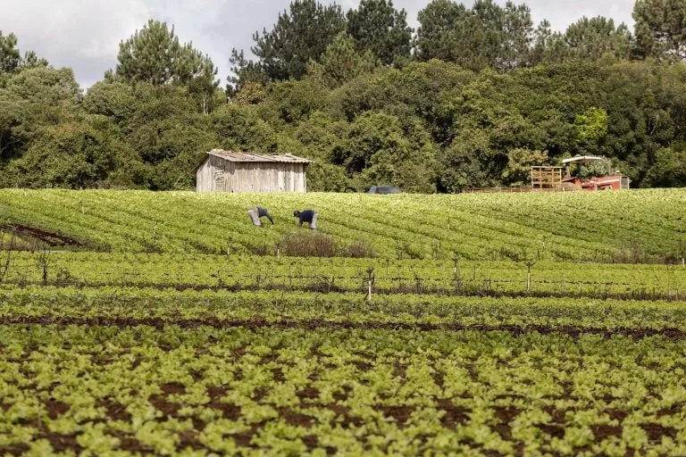 Câmara analisa proposta para acelerar validação do CAR em propriedades rurais menores e aprimorar governança ambiental