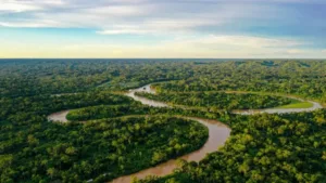 Alertas de desmatamento na Amazônia em queda