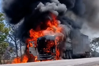 motorista-salva-64-bois-apos-carreta-pegar-fogo-na-go-118,-em-monte-alegre-de-goias