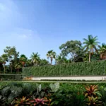 Projeto do data center na Amazônia e seus impactos