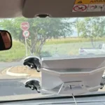 Antena Starlink instalada em carro