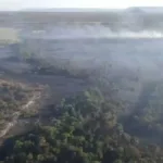 Operação Abafa Goiás combate queimadas