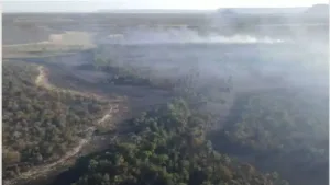 Operação Abafa Goiás combate queimadas