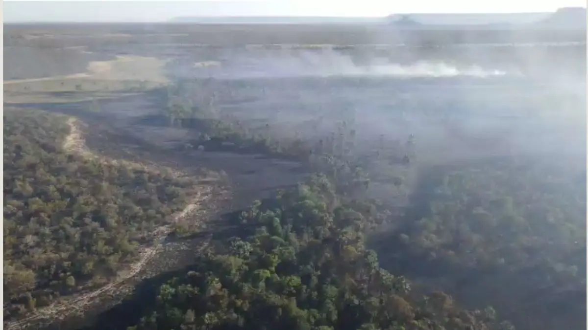 Goiás Intensifica Ações Contra Queimadas no Nordeste do Estado