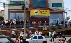 Avestruz Master Goiás atraiu investidores