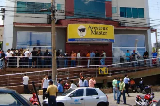 Avestruz Master Goiás atraiu investidores