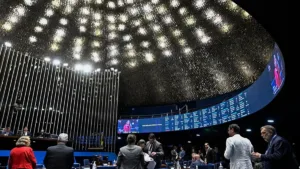 Funções de um senador no Congresso Nacional