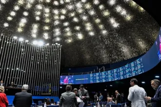 Funções de um senador no Congresso Nacional