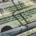 Cassação de CNH por abandono de animais na rua