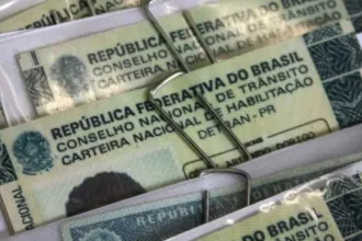 Cassação de CNH por abandono de animais na rua