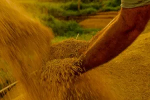 Governo propõe crédito extraordinário para El Niño