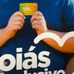 Enxame de abelhas migratórias em Goiânia