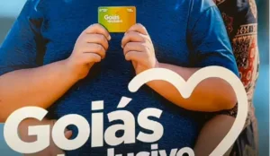 Enxame de abelhas migratórias em Goiânia