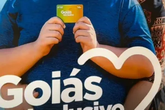 Enxame de abelhas migratórias em Goiânia