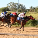 joquei-de-goiania-recupera-licenca-e-prepara-volta-das-corridas-de-cavalos-em-agosto