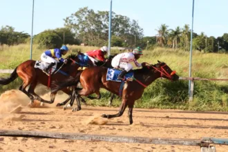 joquei-de-goiania-recupera-licenca-e-prepara-volta-das-corridas-de-cavalos-em-agosto