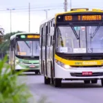 Alerta de desmatamento na Amazônia em 2026