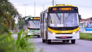 Alerta de desmatamento na Amazônia em 2026