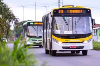 Alerta de desmatamento na Amazônia em 2026