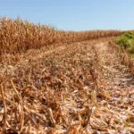 Crédito extraordinário para defesa civil em desastres climáticos