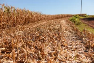 Crédito extraordinário para defesa civil em desastres climáticos