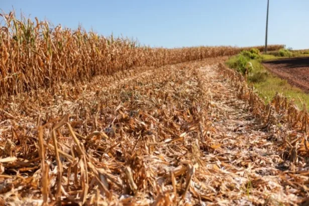 Crédito extraordinário para defesa civil em desastres climáticos