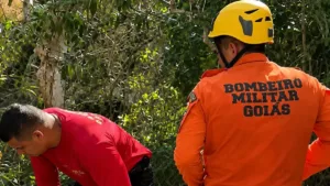 Bombeiros em resgate de criança em ribanceira de 10 metros