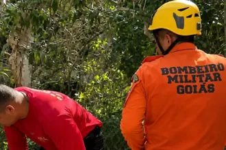 Bombeiros em resgate de criança em ribanceira de 10 metros