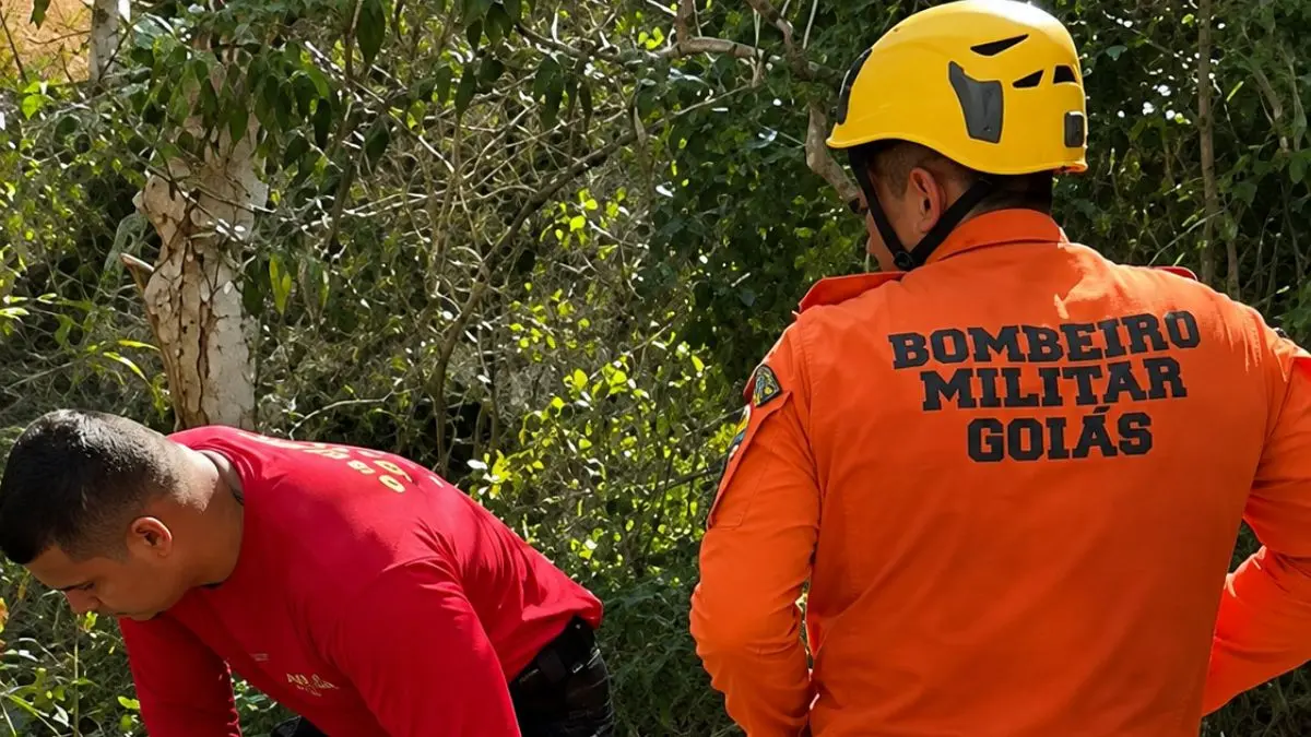 Bombeiros resgatam criança que caiu de uma ribanceira a 10 metros de profundidade, em Niquelândia